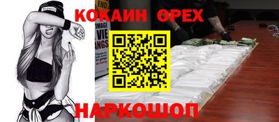 дмт Аргун