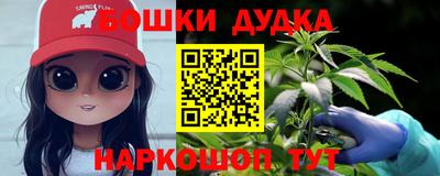 гидра Будённовск