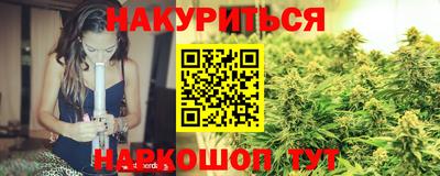 дмт Аргун