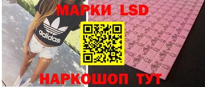 дмт Аргун