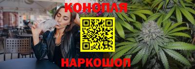 прущие грибы Апшеронск