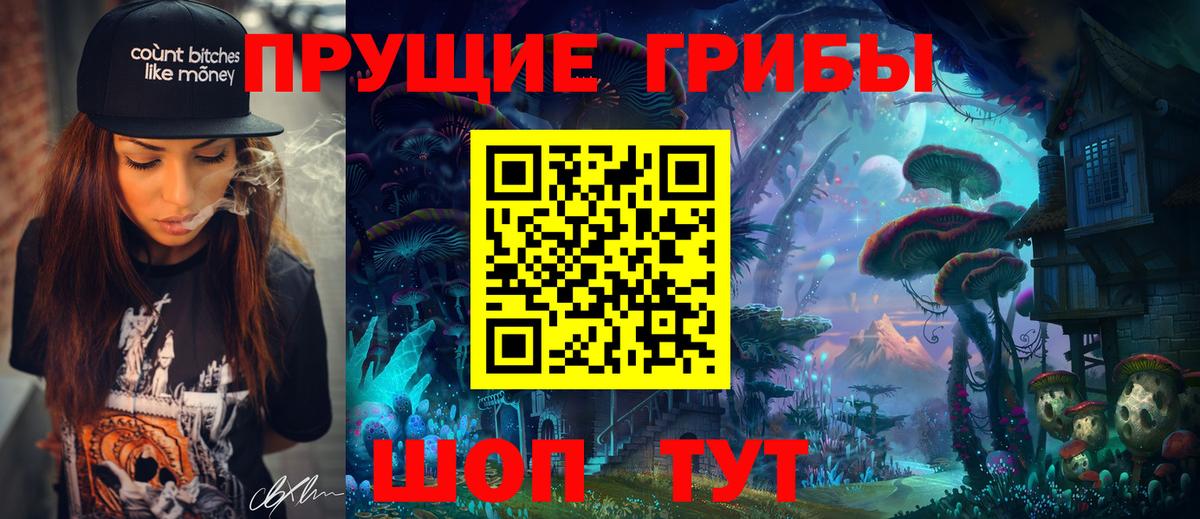 Вятские Поляны  Галлюциногенные грибы мухоморы  купить наркотики сайты  Вход с VPN  Псилоцибиновые грибы Psilocybe 